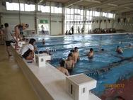 南砺市学童水泳大会兼県学童水泳大会(1)