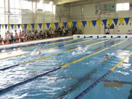 第10回南砺市学童水泳大会　結果(3)