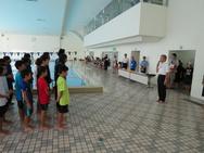 第8回南砺市少年少女水泳記録会(3)
