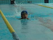 平成26年9月7日(日)　第8回南砺市少年少女水泳記録会(2)